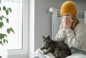A woman sits on a bed with a Siberian cat, highlighting its hypoallergenic qualities for allergy sufferers